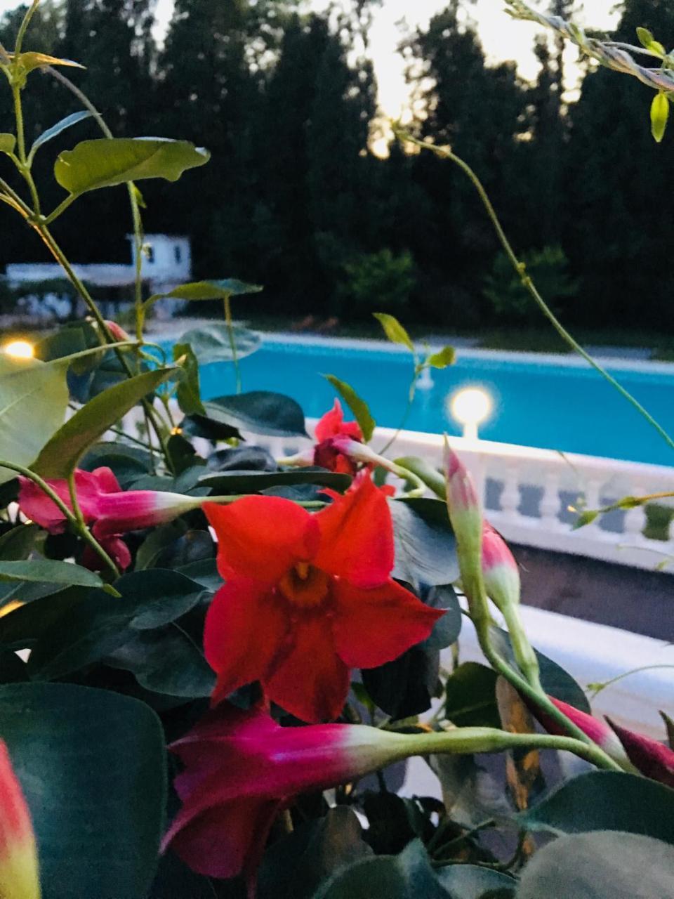 Chateau De Fontager Hotel 3*